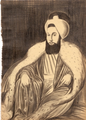 http://mail.mehmetdere.com/files/gimgs/th-20_3_sultanselim.jpg